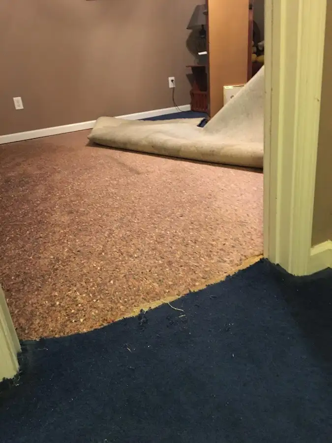 Carpet pad removal revealing water damage during Drying & Dehumidification in Odenton