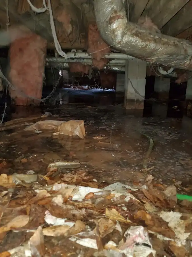 Crawl space flood assessment for Commercial Water Damage Restoration in Odenton